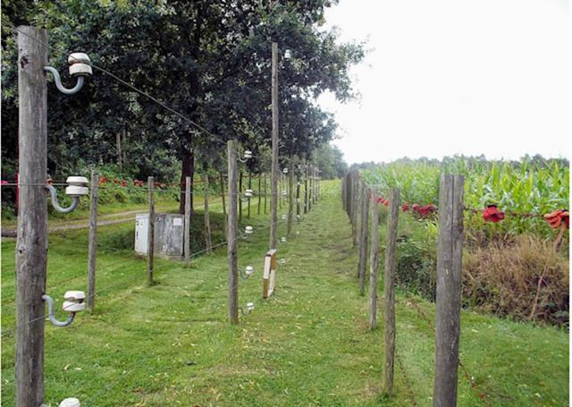 La Petite Fleur Villa Baarle-Nassau Kültér fotó